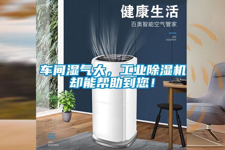 車間濕氣大,工業除濕機卻能幫助到您!