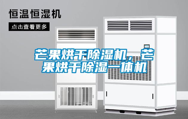 芒果烘干除濕機,芒果烘干除濕一體機