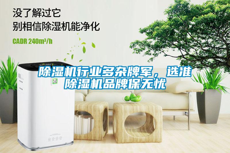 除濕機行業(yè)多雜牌軍,選準除濕機品牌保無憂