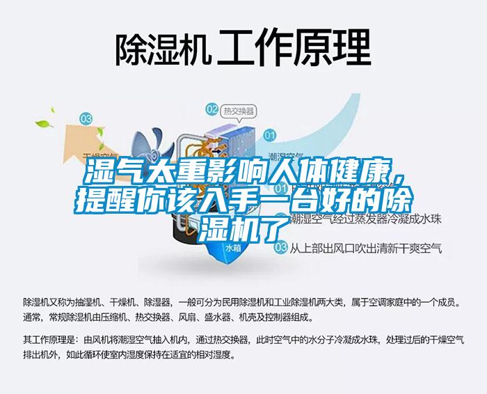 濕氣太重影響人體健康,提醒你該入手一臺(tái)好的除濕機(jī)了