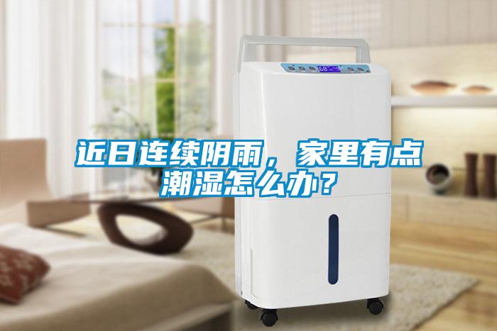 近日連續陰雨，家里有點潮濕怎么辦？