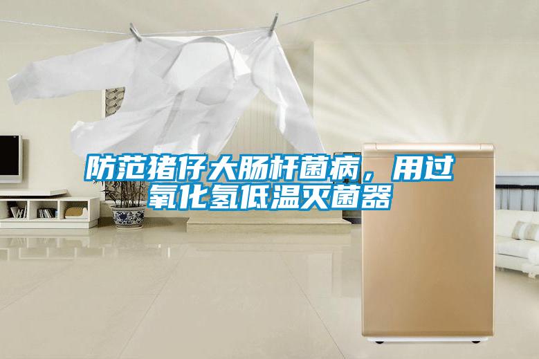 防范豬仔大腸桿菌病,用過氧化氫低溫滅菌器