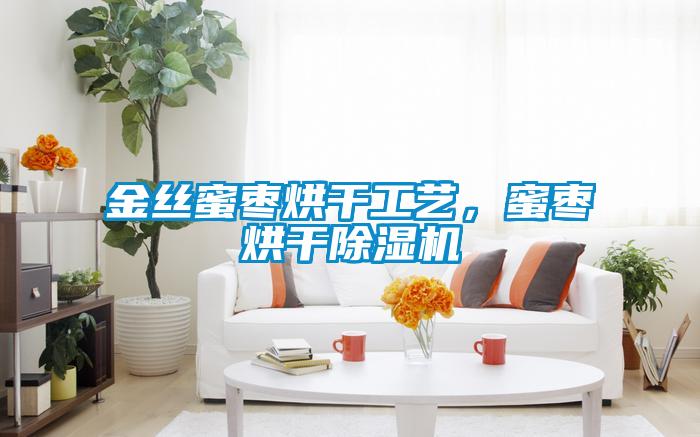 金絲蜜棗烘干工藝，蜜棗烘干除濕機(jī)