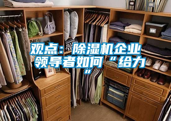 觀點:除濕機企業 領導者如何“給力”