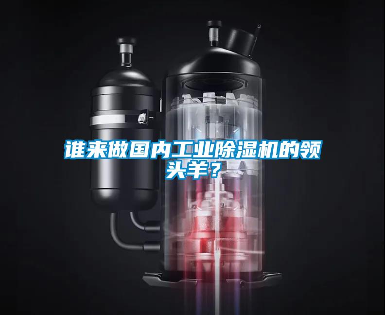 誰來做國內(nèi)工業(yè)除濕機的領頭羊?