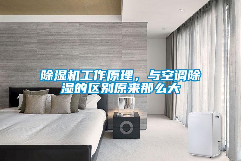 除濕機工作原理,與空調除濕的區別原來那么大