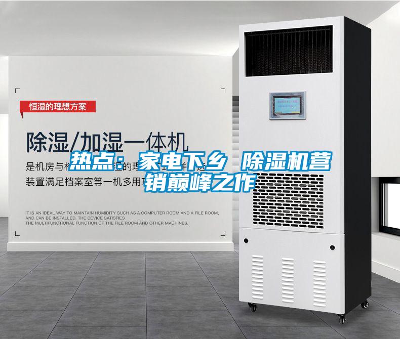 熱點:家電下鄉 除濕機營銷巔峰之作