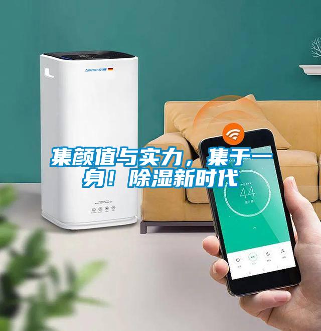 集顏值與實力,集于一身!除濕新時代