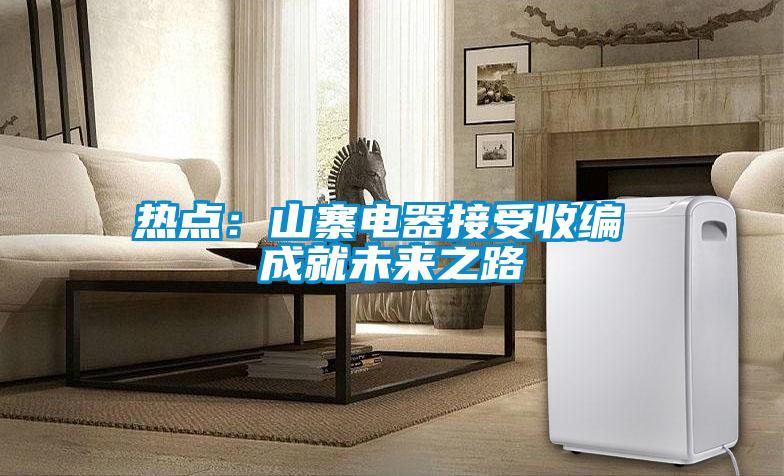 熱點:山寨電器接受收編 成就未來之路