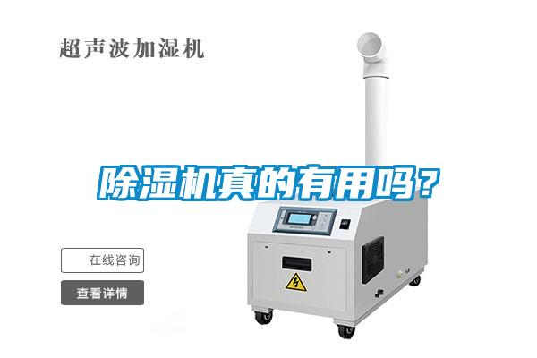 除濕機真的有用嗎?