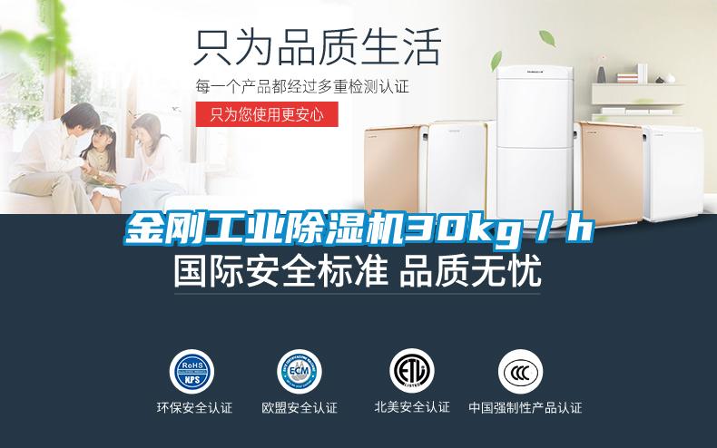 金剛工業除濕機30kg/h