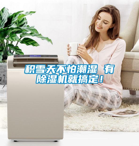 積雪天不怕潮濕 有除濕機就搞定!