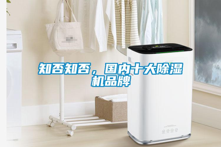知否知否,國內(nèi)十大除濕機品牌