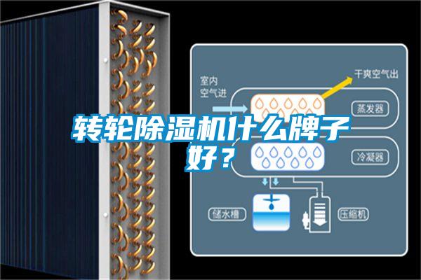 轉輪除濕機什么牌子好?