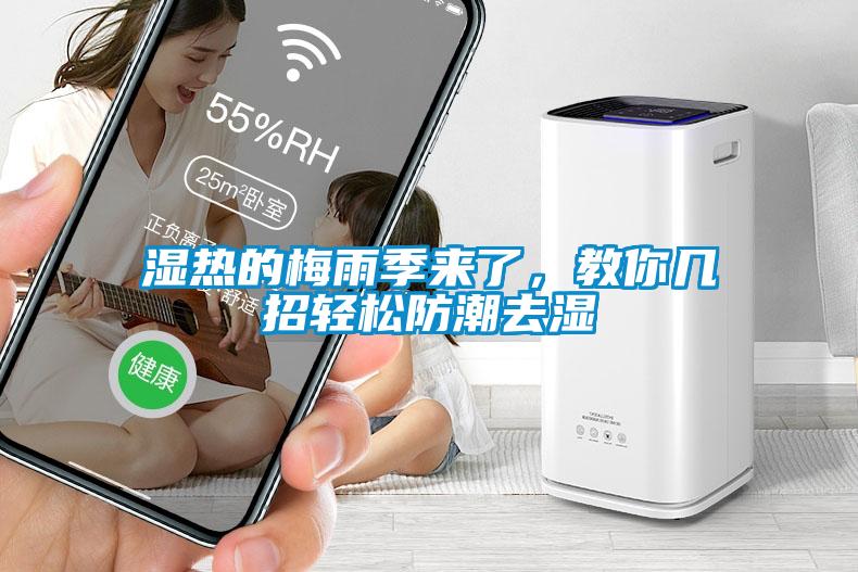 濕熱的梅雨季來了，教你幾招輕松防潮去濕