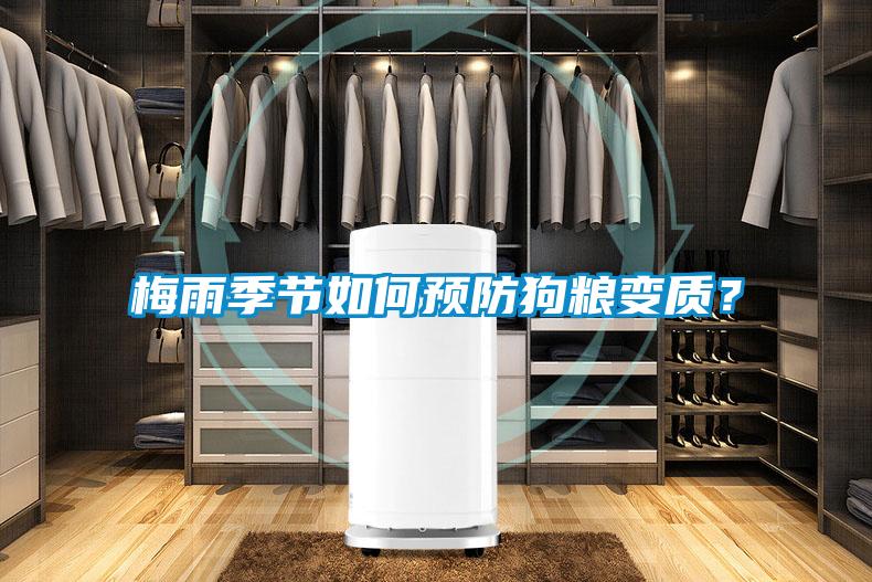 梅雨季節如何預防狗糧變質？