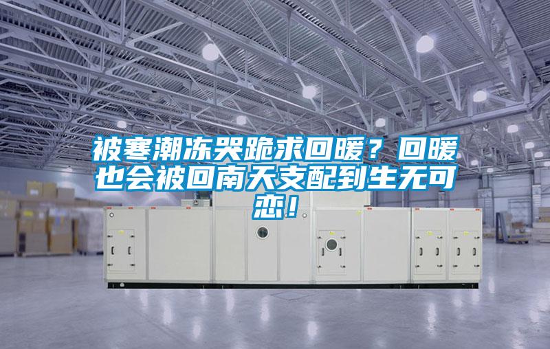 被寒潮凍哭跪求回暖？回暖也會被回南天支配到生無可戀！