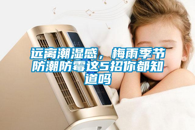 遠(yuǎn)離潮濕感，梅雨季節(jié)防潮防霉這5招你都知道嗎