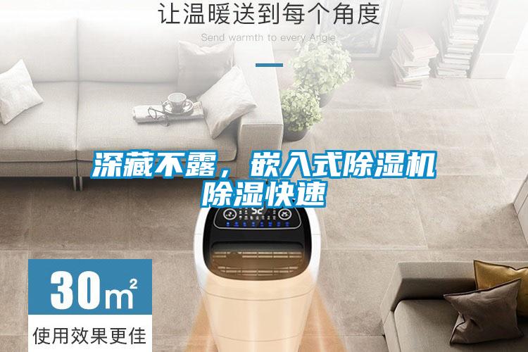深藏不露,嵌入式除濕機除濕快速