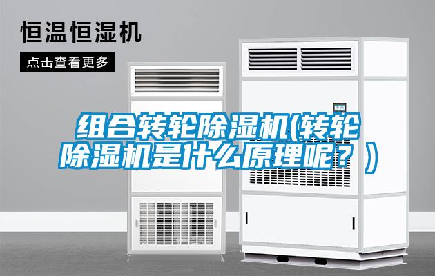 組合轉輪除濕機(轉輪除濕機是什么原理呢?)