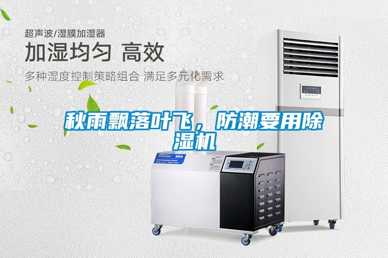 秋雨飄落葉飛,防潮要用除濕機(jī)