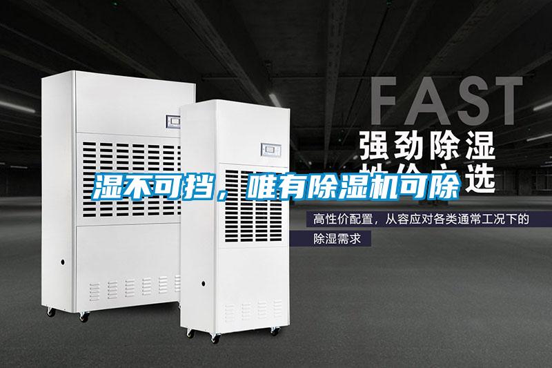 濕不可擋,唯有除濕機可除
