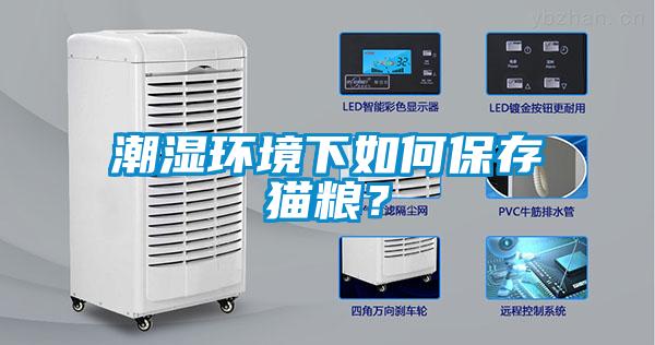 潮濕環境下如何保存貓糧?