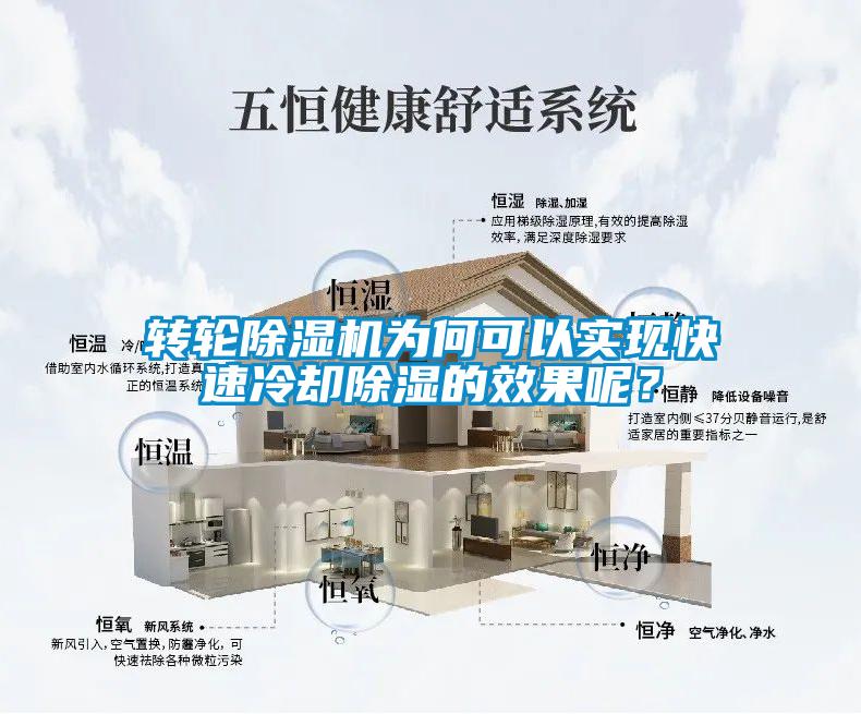轉輪除濕機為何可以實現快速冷卻除濕的效果呢?