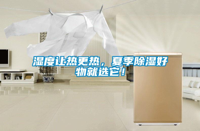濕度讓熱更熱，夏季除濕好物就選它！