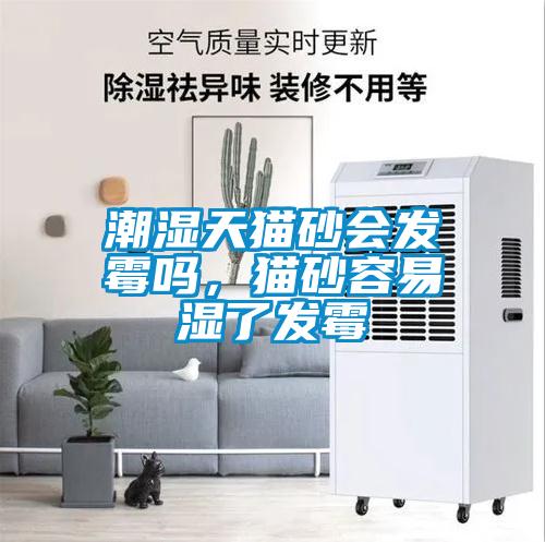 潮濕天貓砂會發霉嗎,貓砂容易濕了發霉