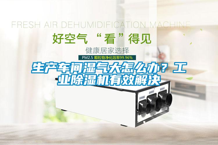 生產車間濕氣大怎么辦?工業除濕機有效解決