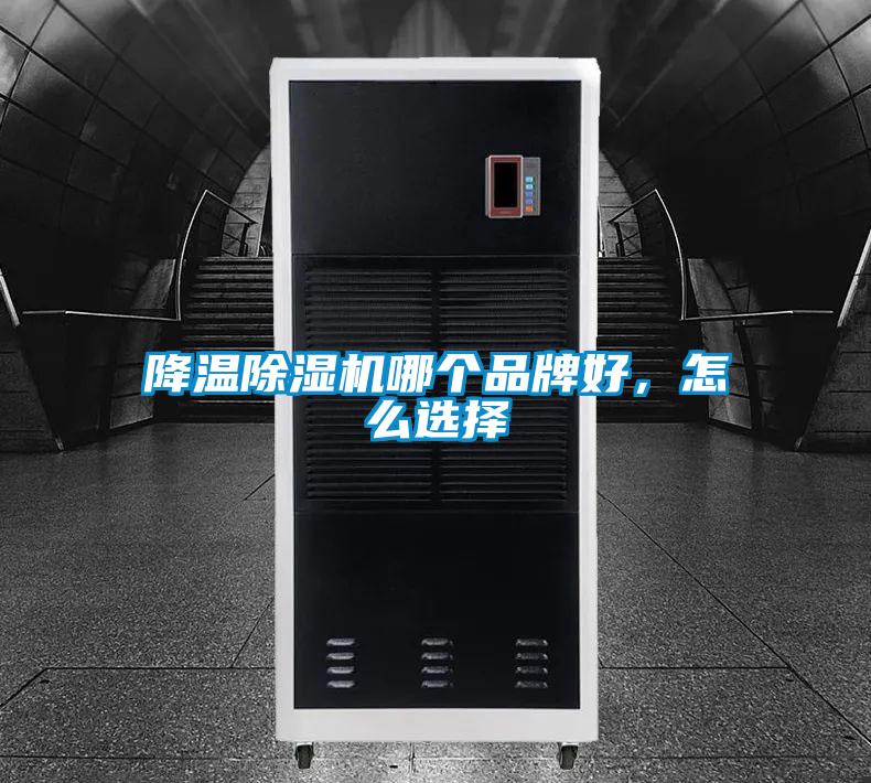 降溫除濕機(jī)哪個品牌好,怎么選擇