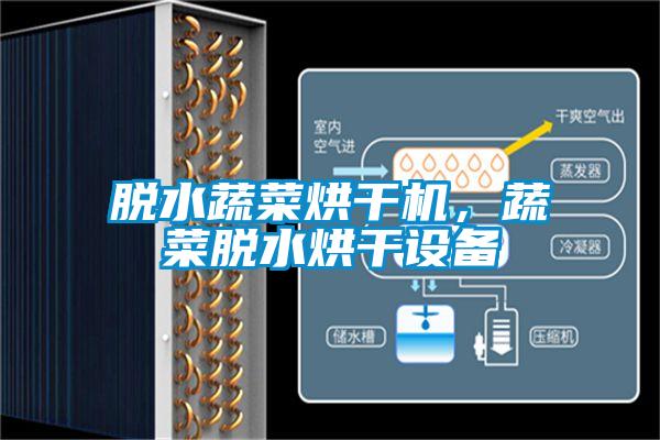 脫水蔬菜烘干機,蔬菜脫水烘干設備