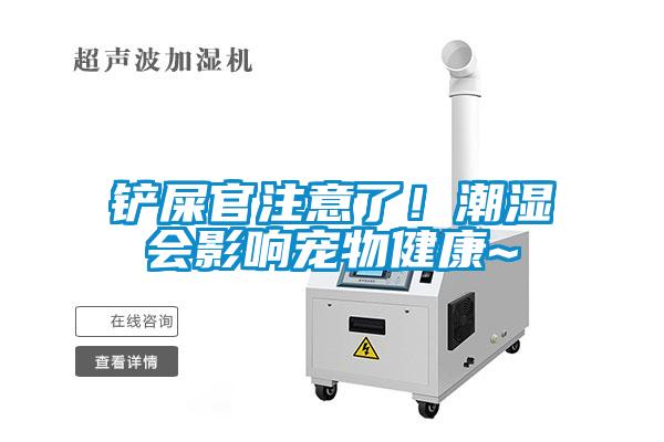 鏟屎官注意了!潮濕會(huì)影響寵物健康~