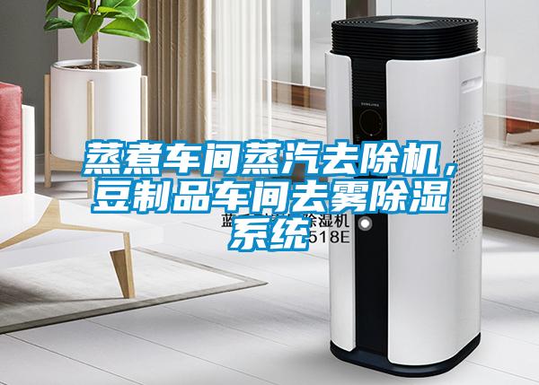 蒸煮車間蒸汽去除機,豆制品車間去霧除濕系統