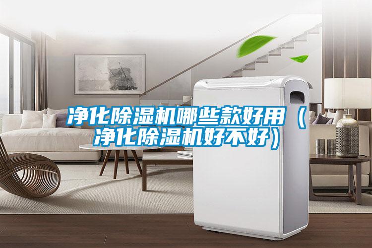 凈化除濕機哪些款好用(凈化除濕機好不好)