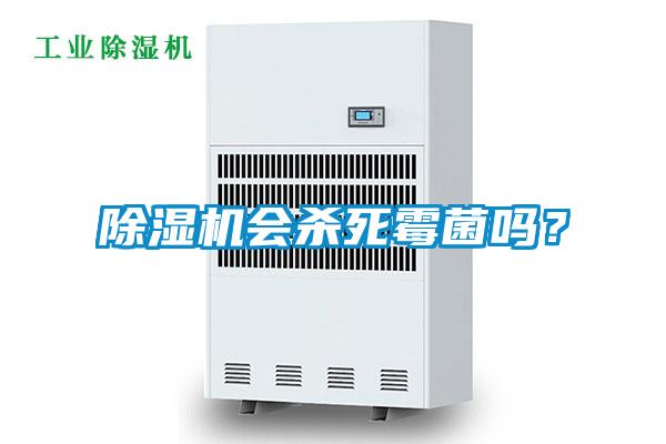 除濕機會殺死霉菌嗎?