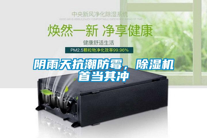 陰雨天抗潮防霉，除濕機首當其沖