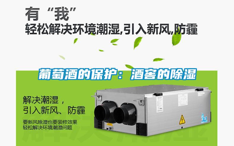 葡萄酒的保護(hù):酒窖的除濕