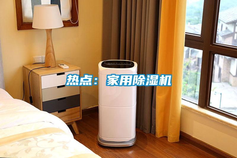 熱點:家用除濕機