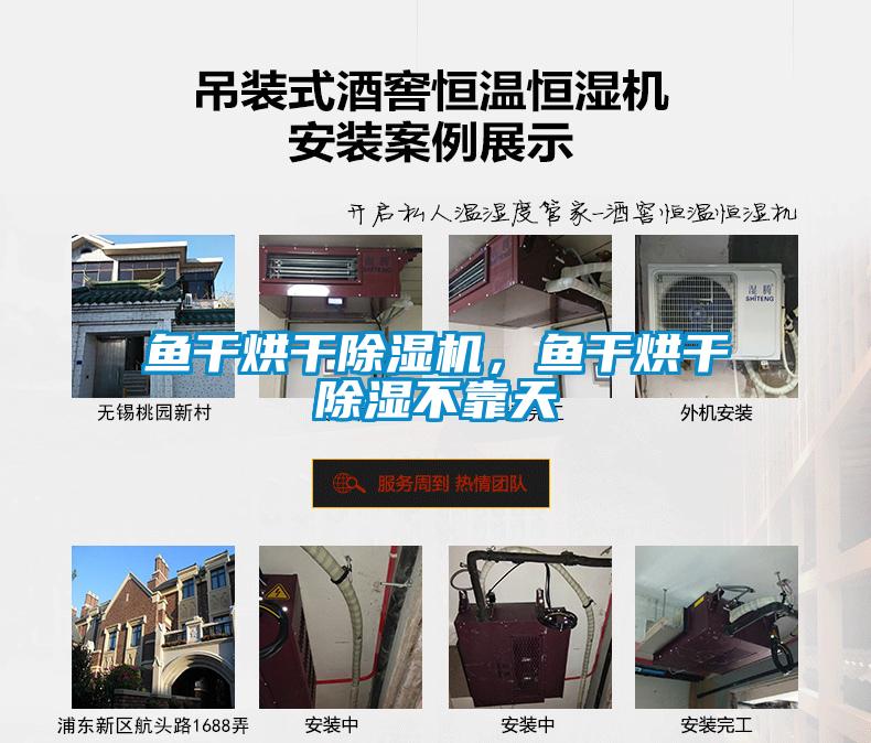 魚干烘干除濕機，魚干烘干除濕不靠天