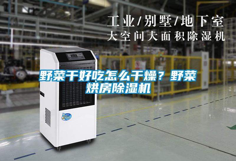 野菜干好吃怎么干燥?野菜烘房除濕機