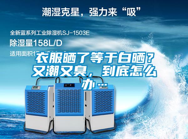 衣服曬了等于白曬？又潮又臭，到底怎么辦…
