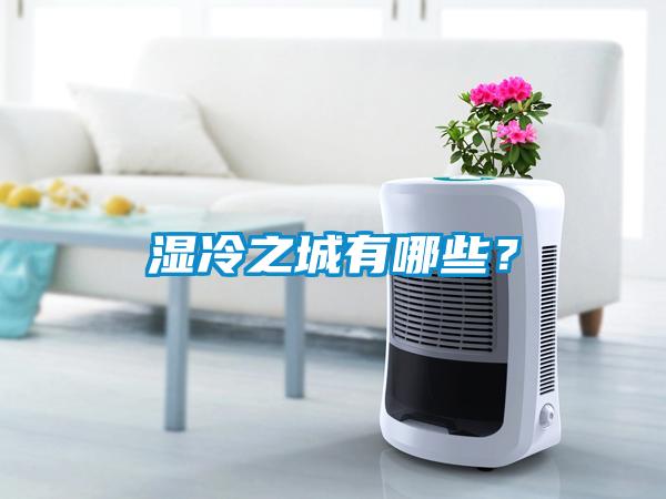 濕冷之城有哪些?