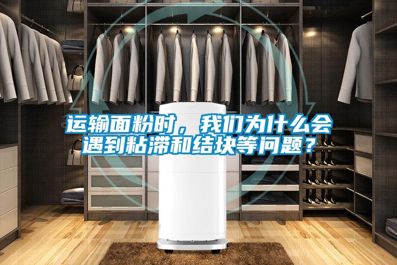 運(yùn)輸面粉時(shí)，我們?yōu)槭裁磿?huì)遇到粘滯和結(jié)塊等問題？