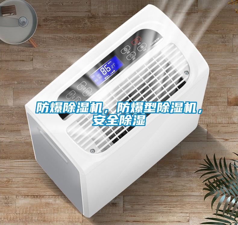 防爆除濕機,防爆型除濕機,安全除濕