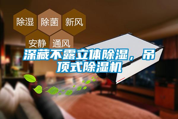 深藏不露立體除濕,吊頂式除濕機