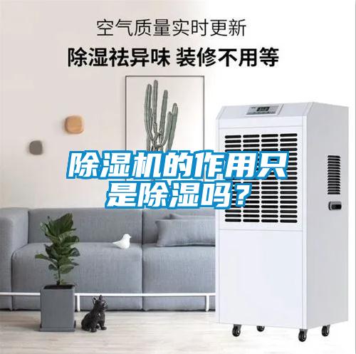 除濕機的作用只是除濕嗎?