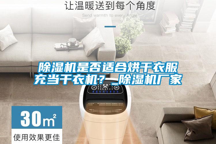除濕機是否適合烘干衣服充當干衣機?_除濕機廠家