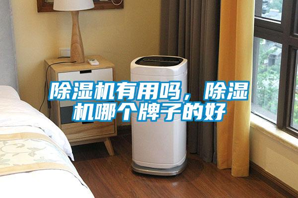 除濕機有用嗎,除濕機哪個牌子的好